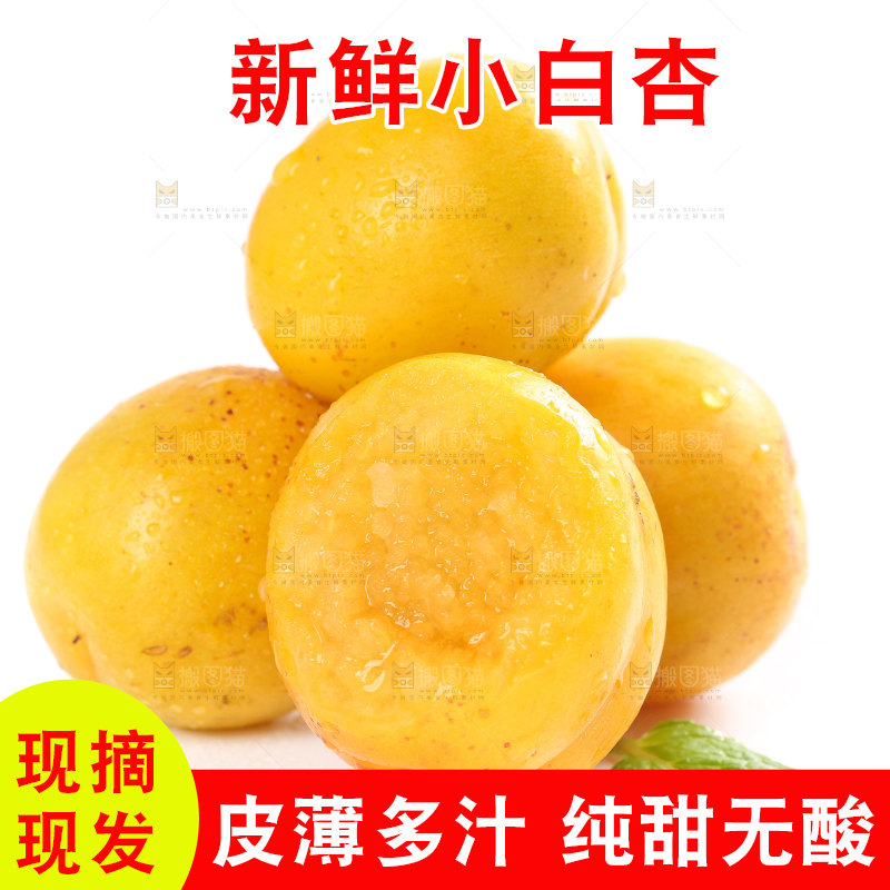 白底上放着白杏