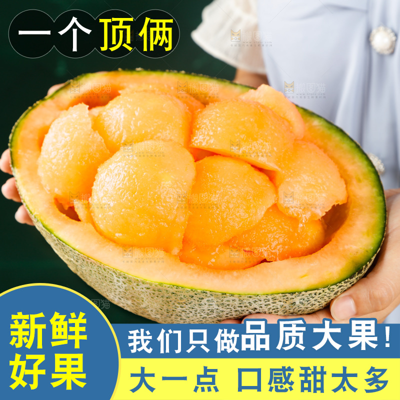 哈密瓜主图