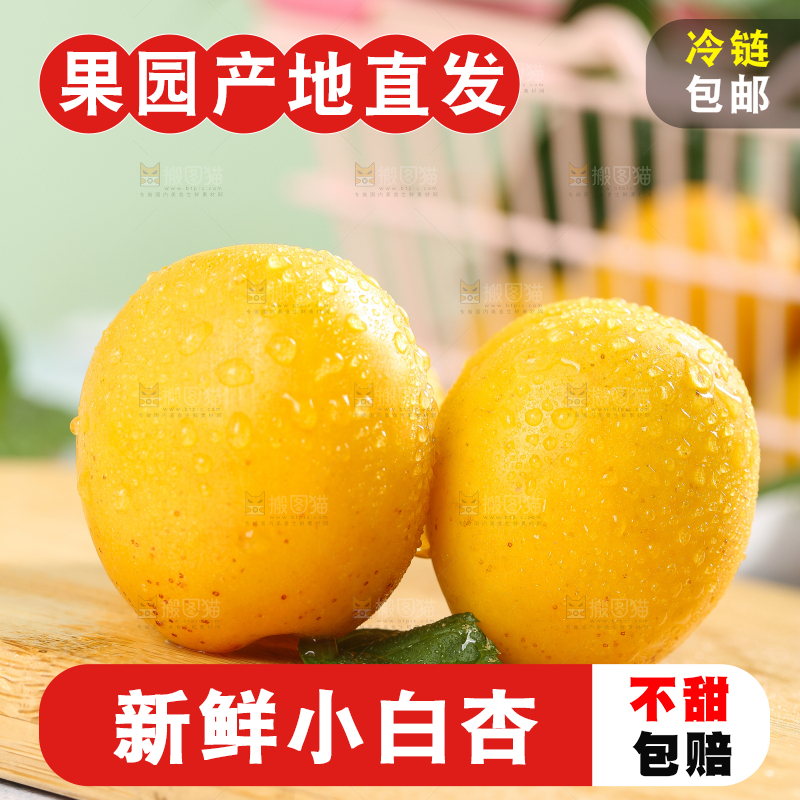 木板上摆放着小白杏