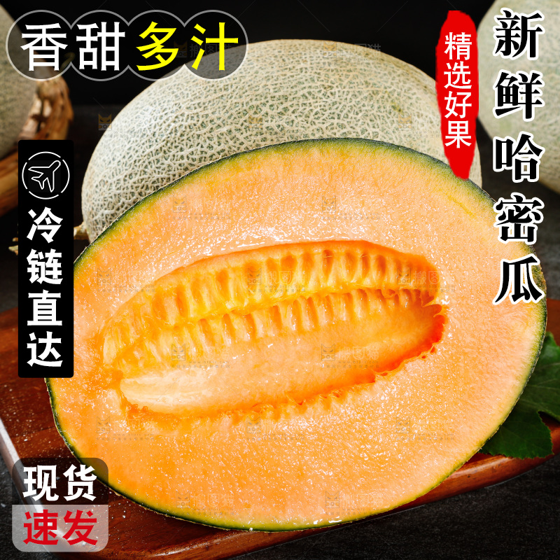 哈密瓜主图