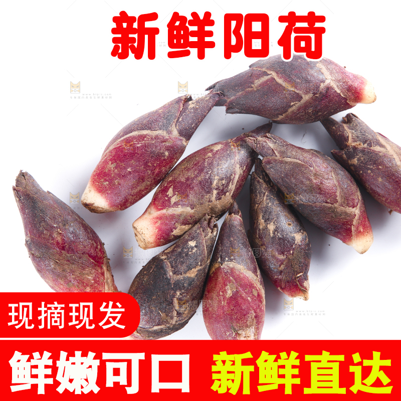 白底上摆放着阳荷姜