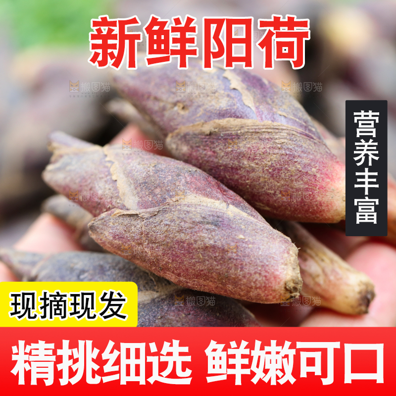 手里拿着洋荷姜