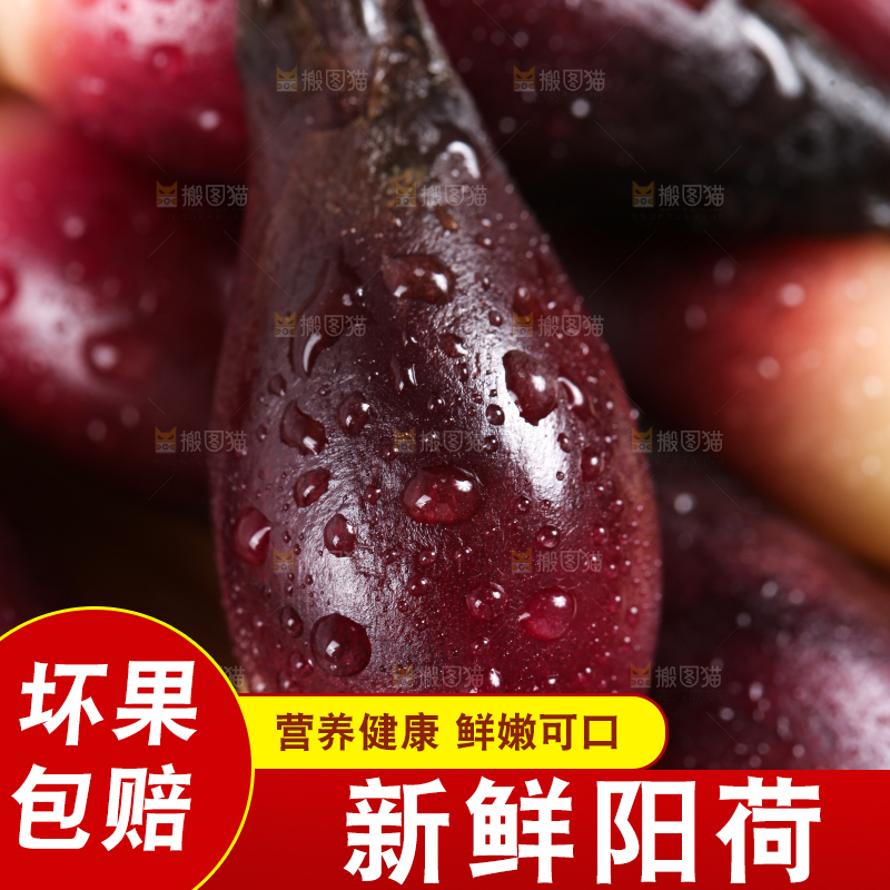 堆放着一堆的贵州新鲜阳荷