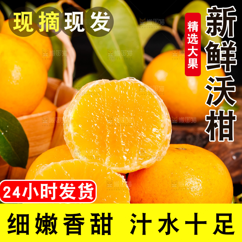木板上的广西武鸣沃柑