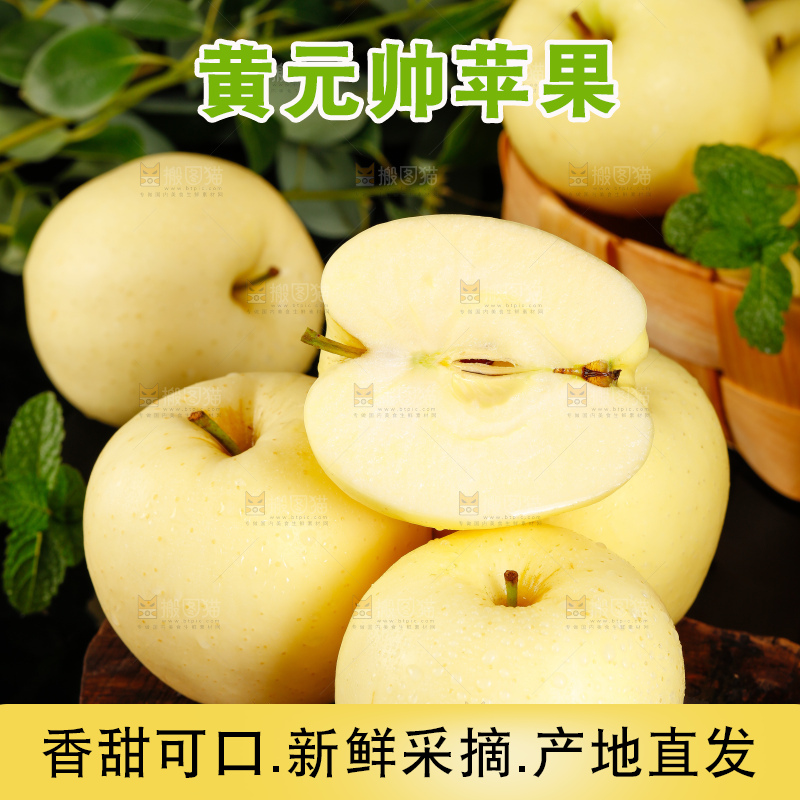 木底上的天水黄元帅苹果