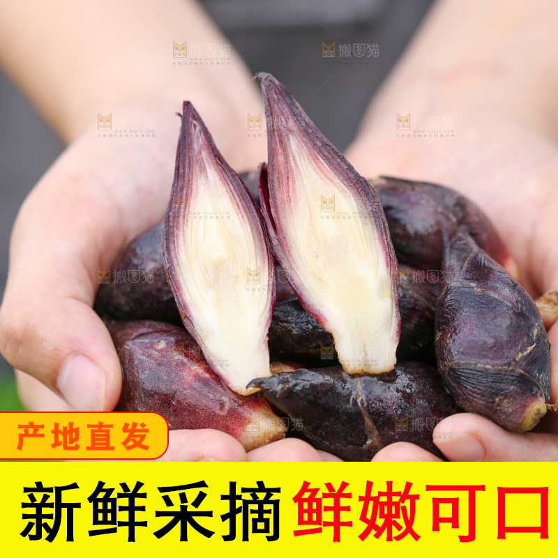 手里捧着阳荷姜
