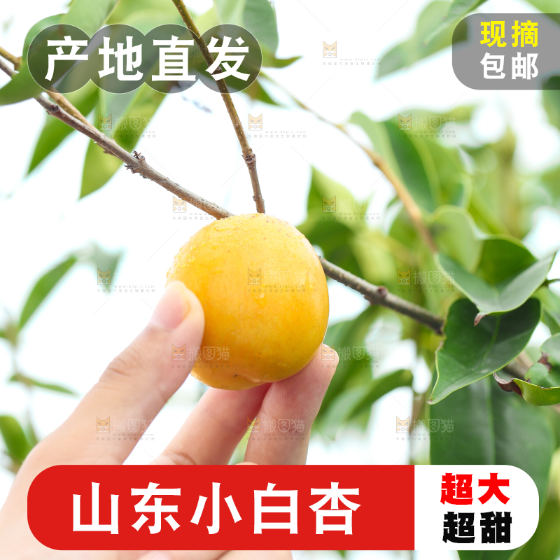 手里拿着杏子