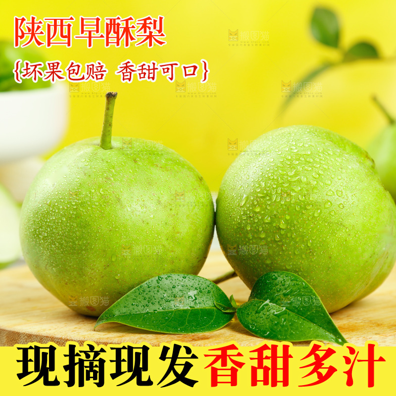 木底上摆放着陕西早酥梨