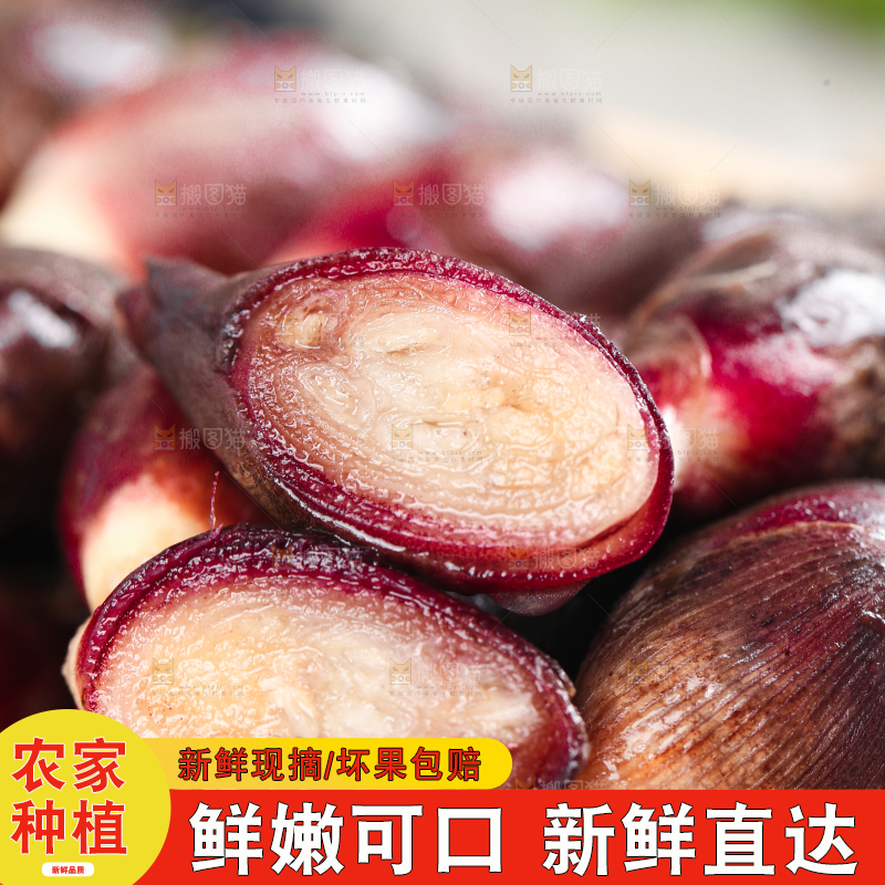 堆放着一堆的贵州新鲜阳荷