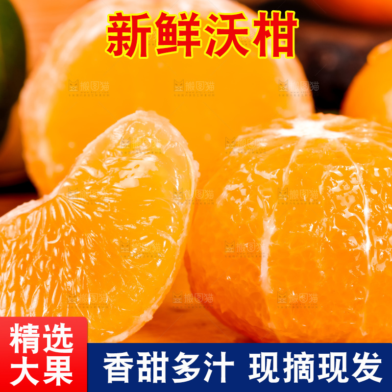 木板上的广西武鸣沃柑