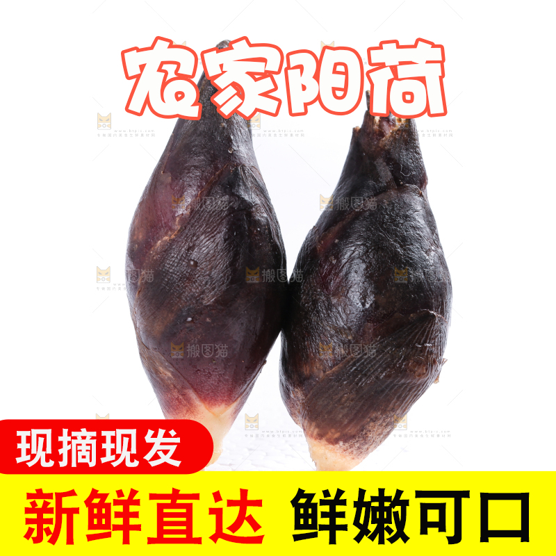 白底上摆放着阳荷姜