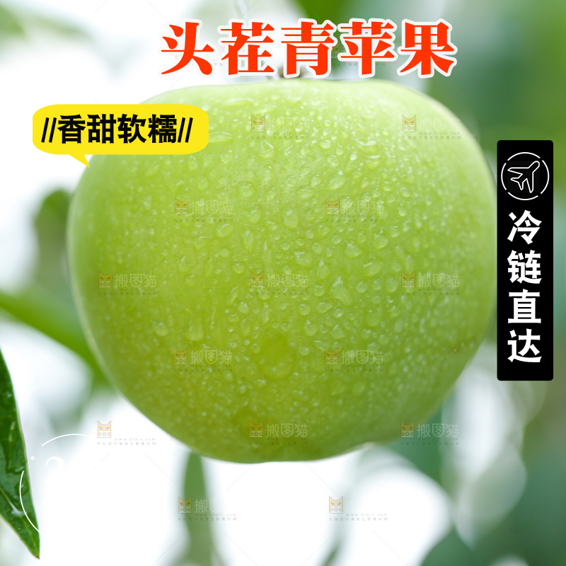树枝上的青苹果