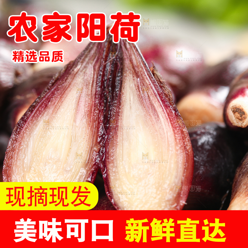 堆放着一堆的贵州新鲜阳荷