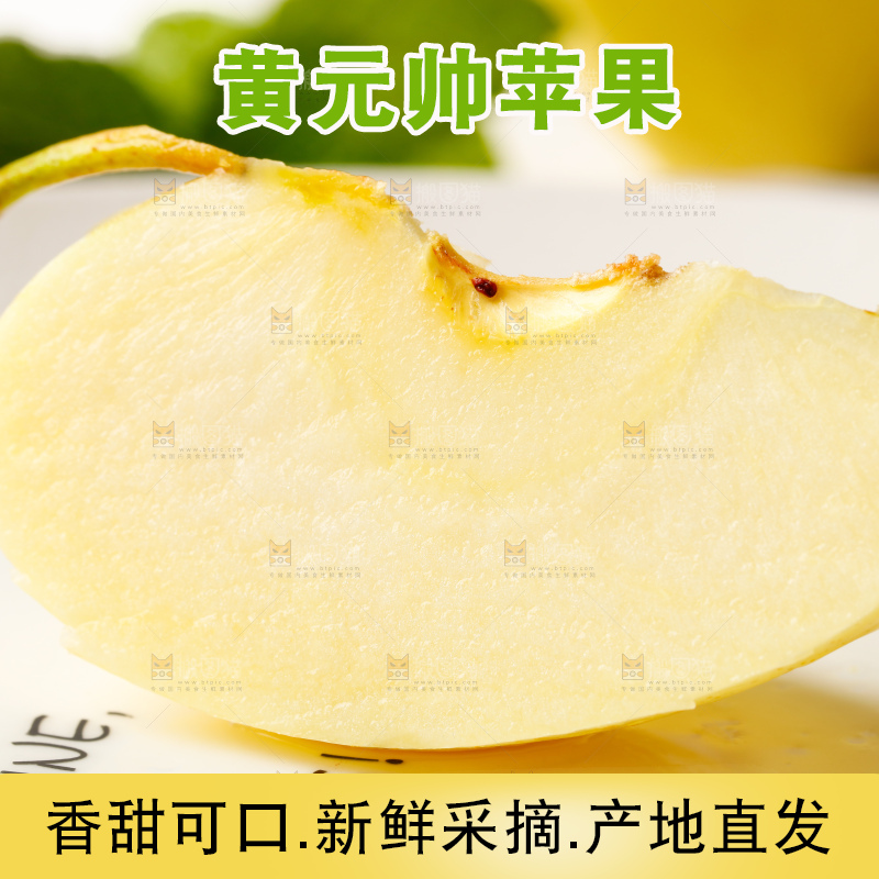 浅底上的烟台黄元帅