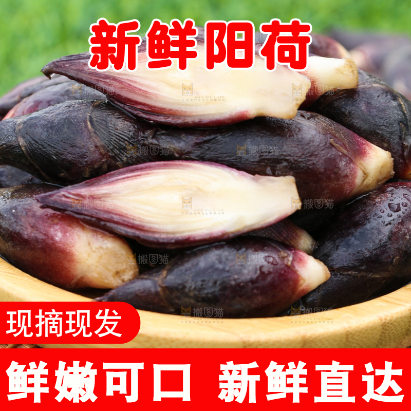 碟子里装着阳荷