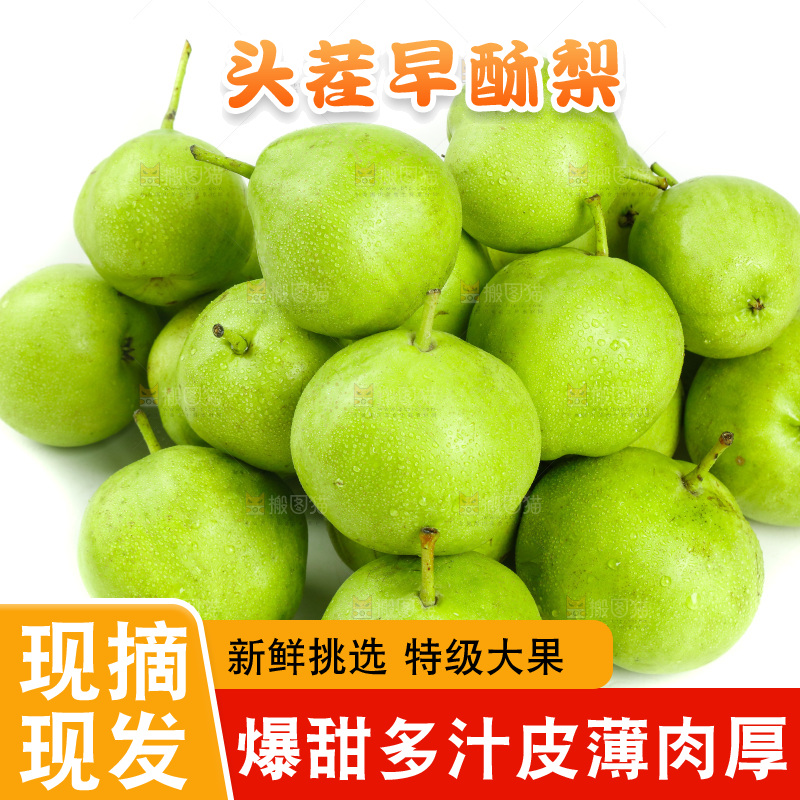 白底上摆放着陕西早酥梨