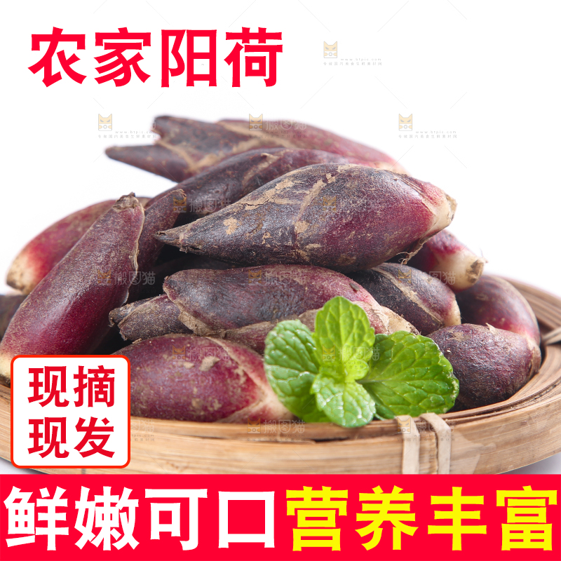 篮子里装着阳荷
