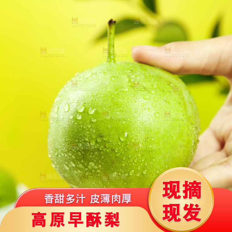 手里拿着新鲜青皮早酥梨