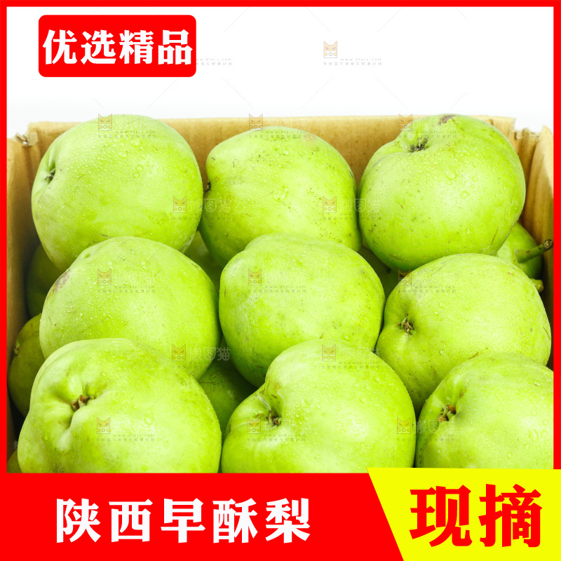 纸箱里装着早酥梨