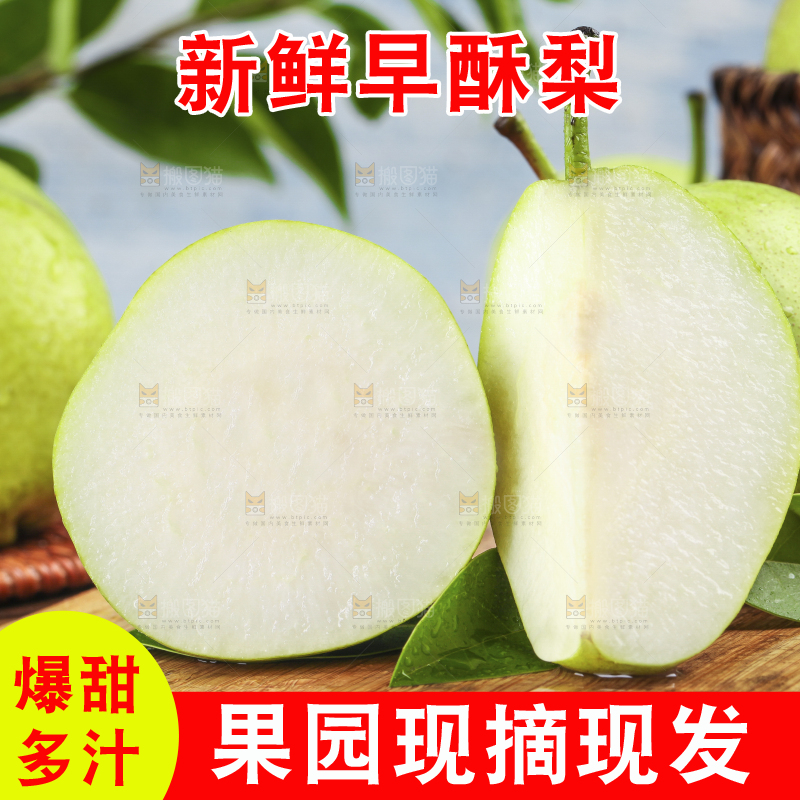 木底上摆放着陕西早酥梨