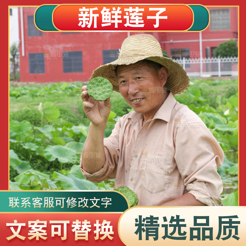 手里拿着新鲜莲蓬
