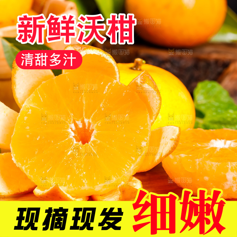 木板上的广西武鸣沃柑