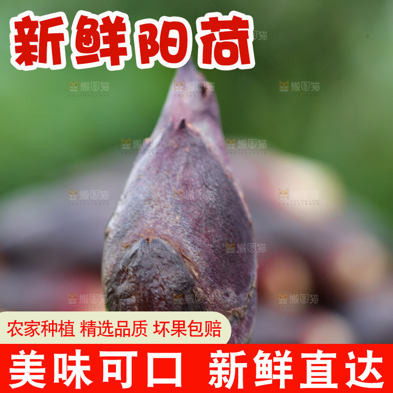 手里拿着洋火姜