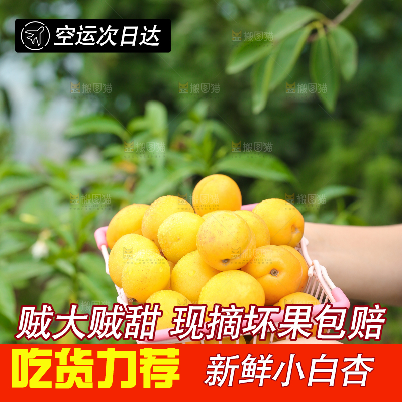 手里拿着一篮小白杏