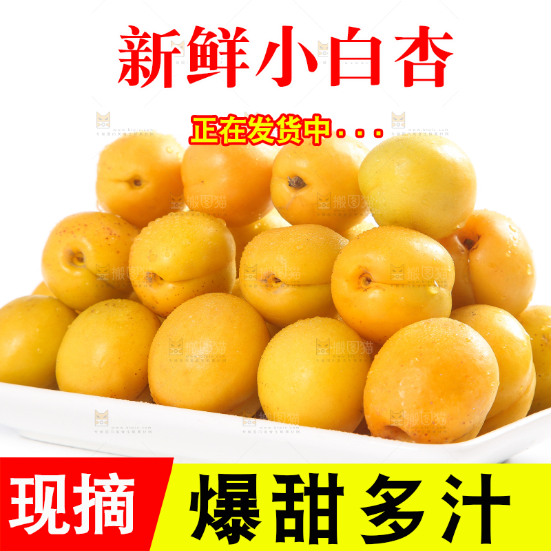 盘子里装着新疆小白杏