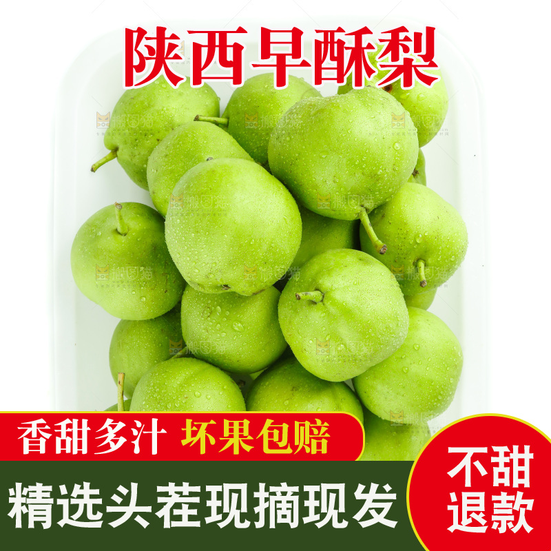 盒子里装着早酥梨