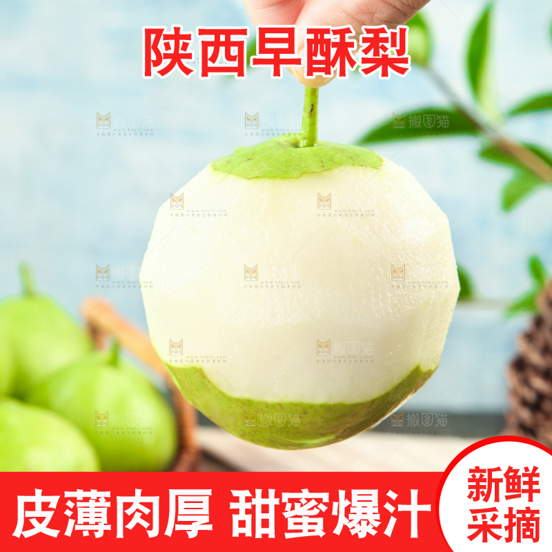 手里拿着新鲜早酥梨