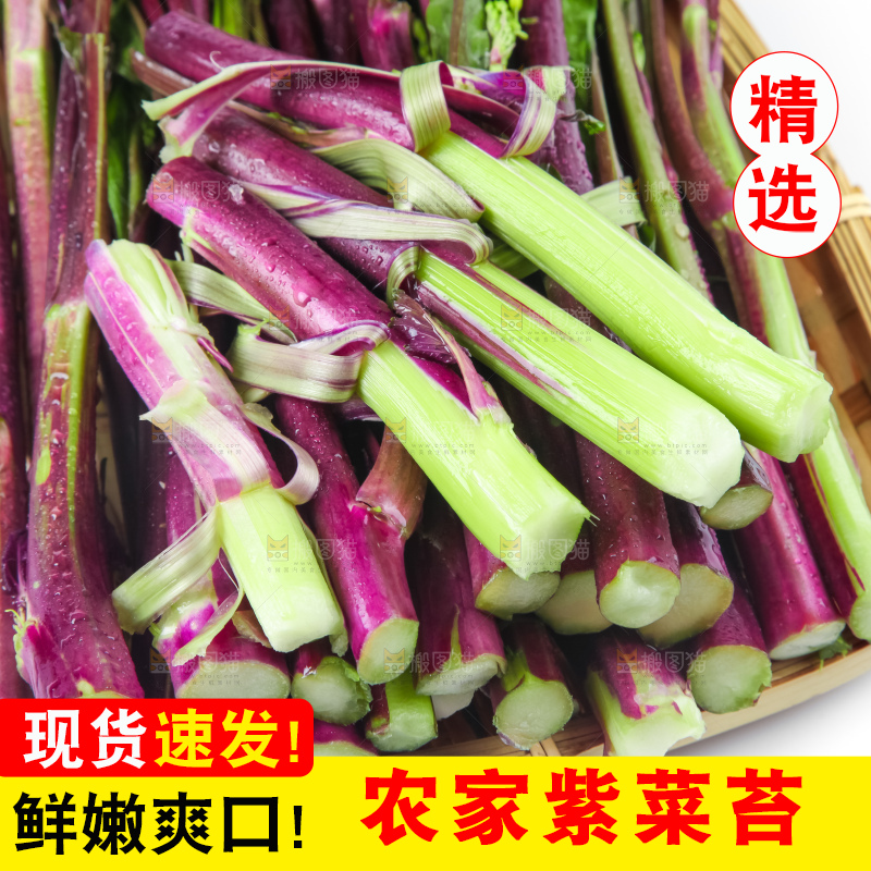 白底上的紫菜苔