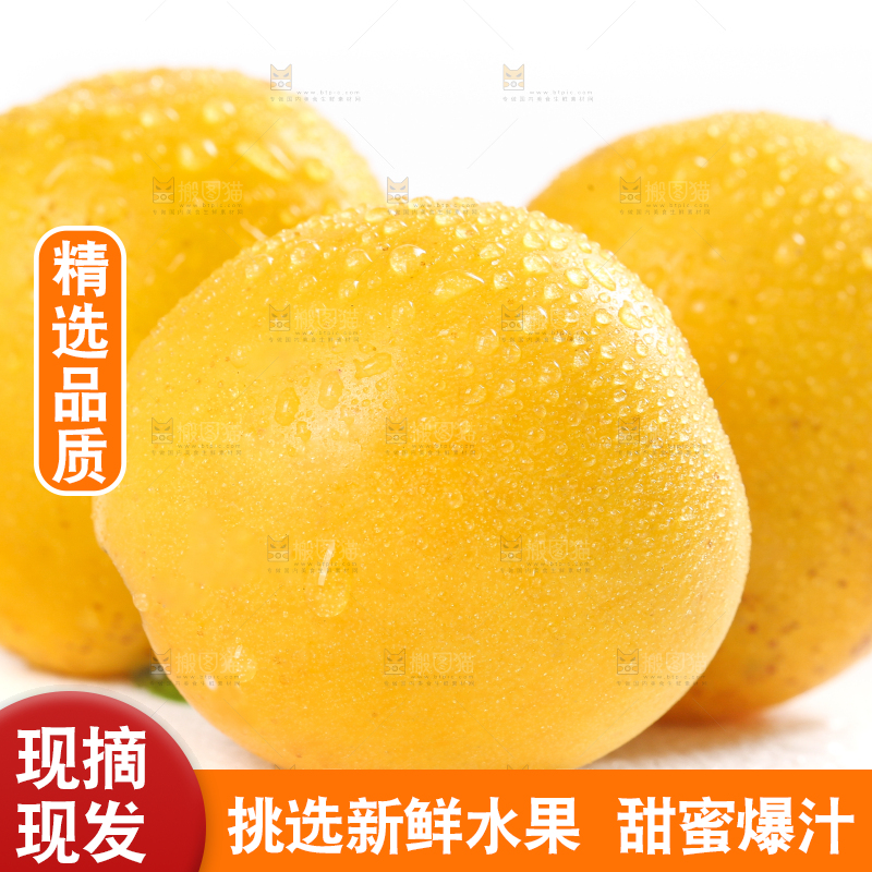 白底上摆放着小白杏