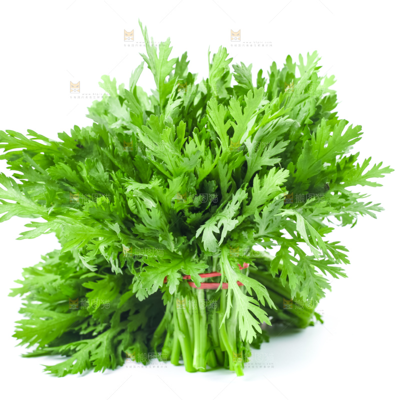 白底上的蓬蒿菜
