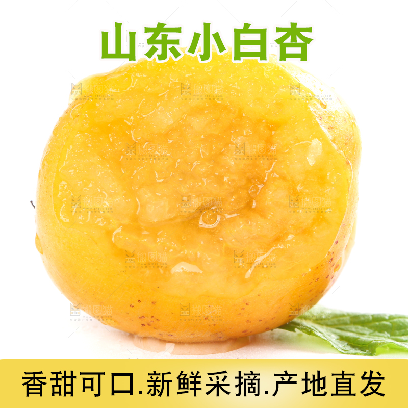 白底上放着白杏