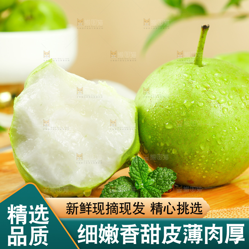 木底上摆放着早酥梨