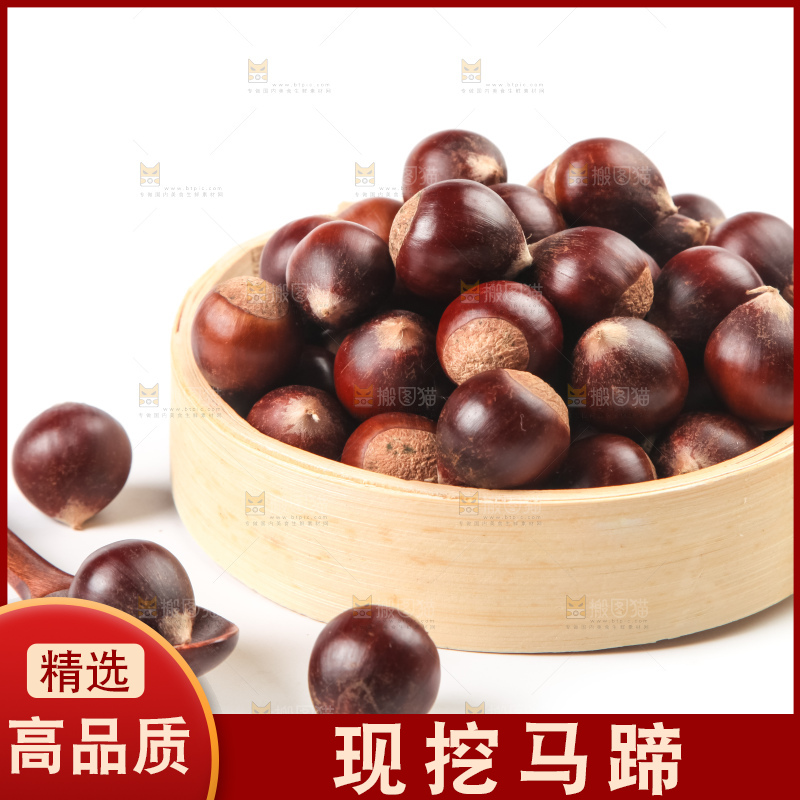 浅底上的马蹄果