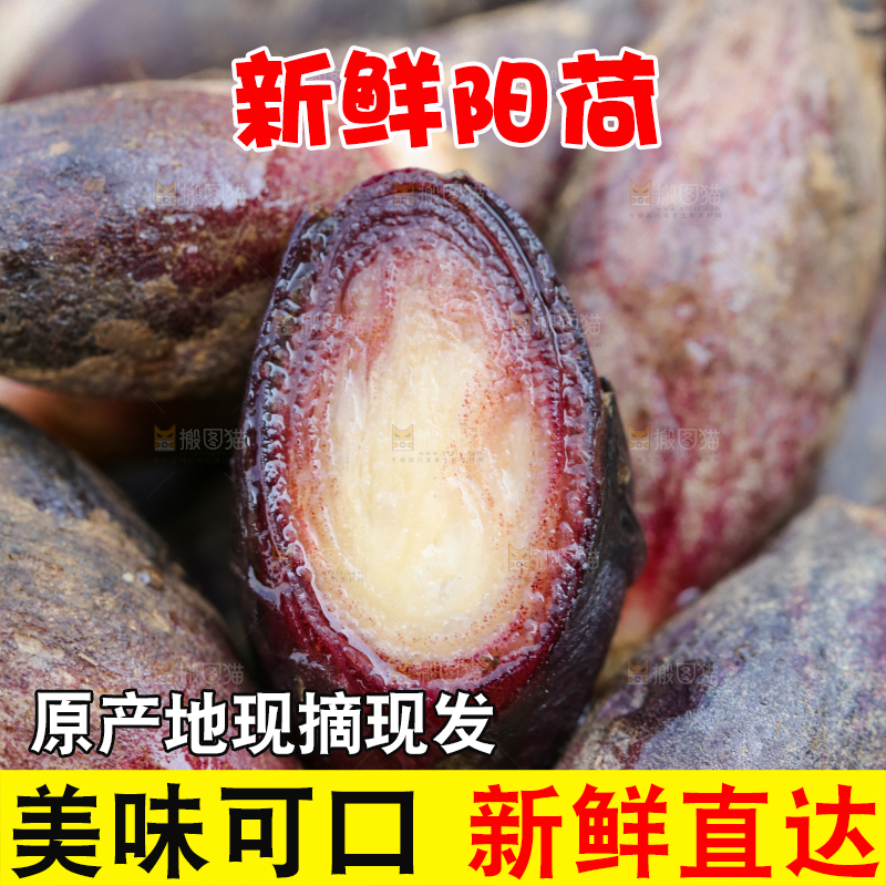 堆放着一堆的阳荷姜