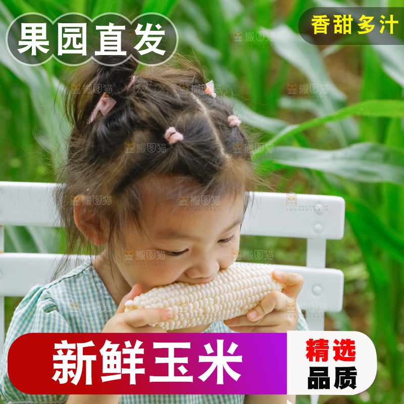 小女孩正在吃牛奶水果玉米