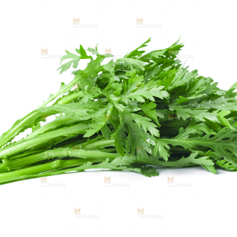 白底上的蓬蒿菜