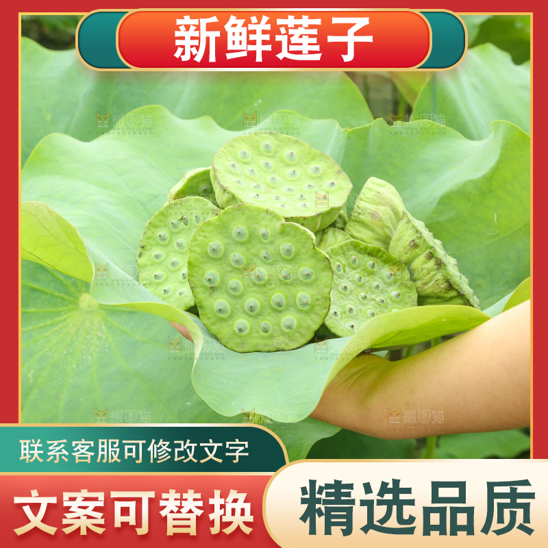 手里拿着莲蓬