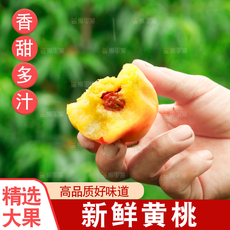 手里拿着新鲜黄桃