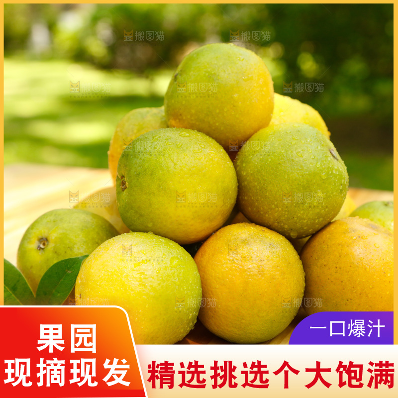 木底上摆放着湖北秭归夏橙
