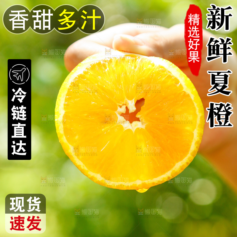 手里拿着新鲜夏橙