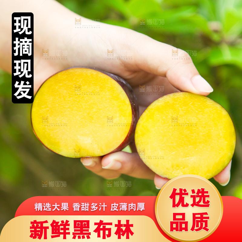 手里拿着黑布李