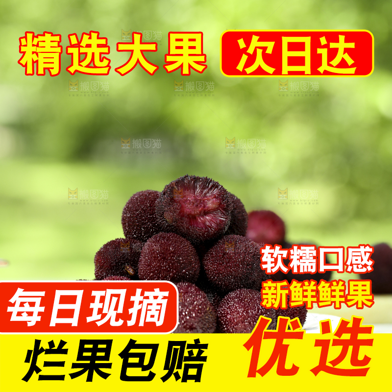 盘子里装着新鲜杨梅