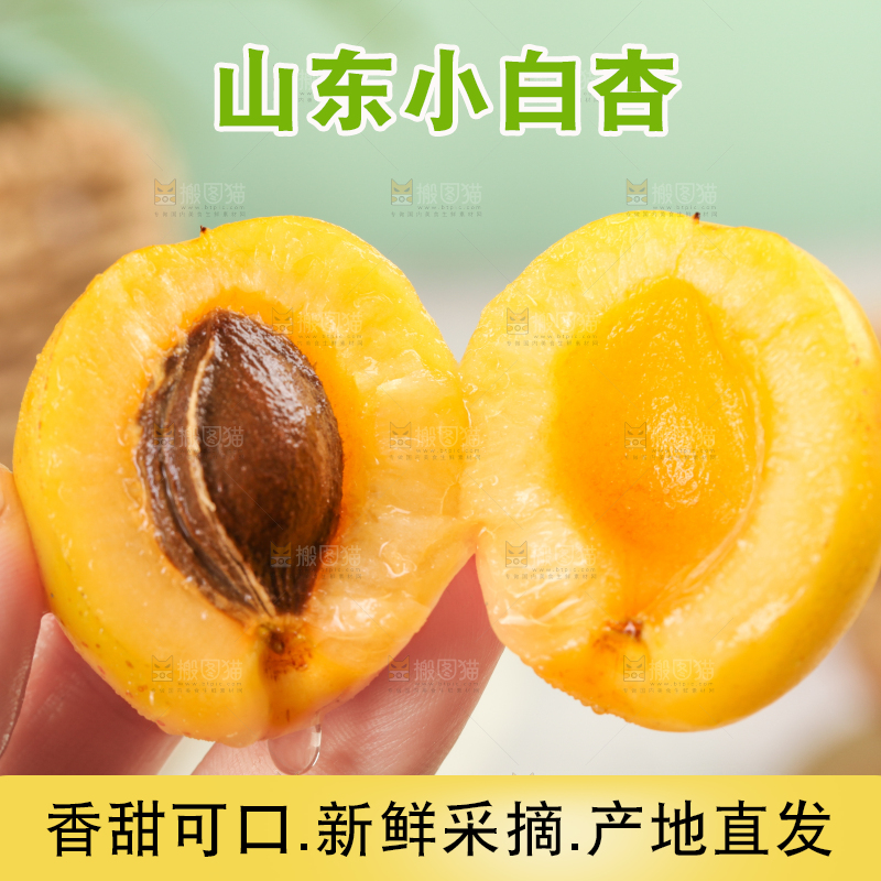 手里拿着白杏