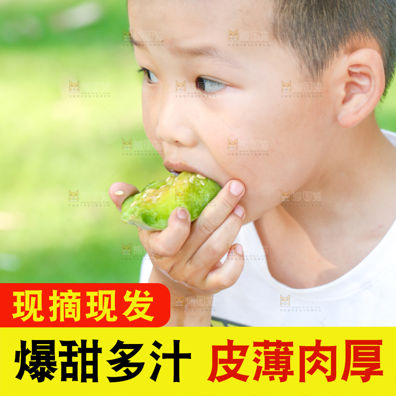 小男孩正在吃羊角蜜