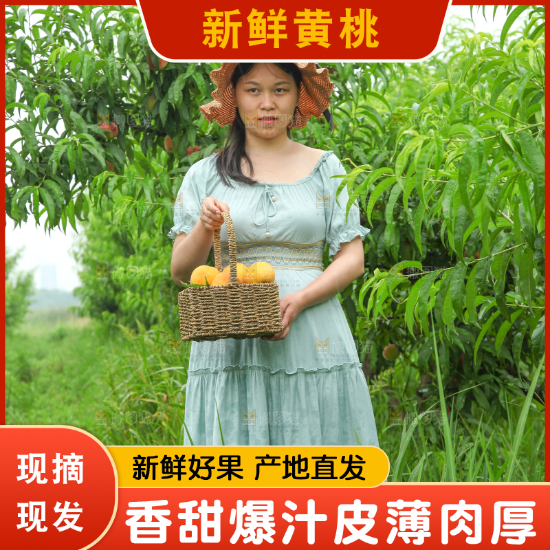 女孩手里提着一篮采摘的黄桃
