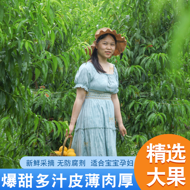 女孩手里提着一篮采摘的黄桃